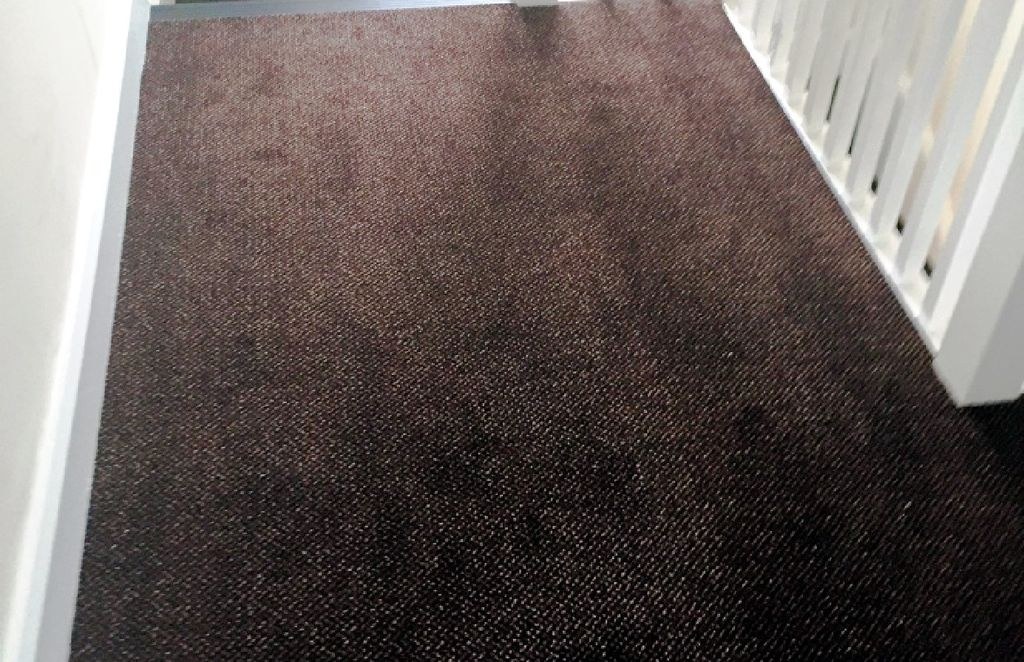 Carpets8_1024_662