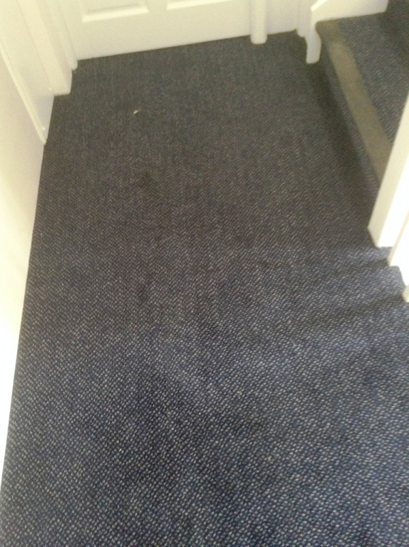 Carpet-10130
