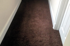 Carpet-40