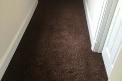 carpet-5000_12