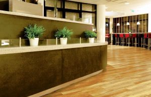 Esher Carpet and Flooring
